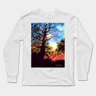 The Trees - Graphic 2 Long Sleeve T-Shirt